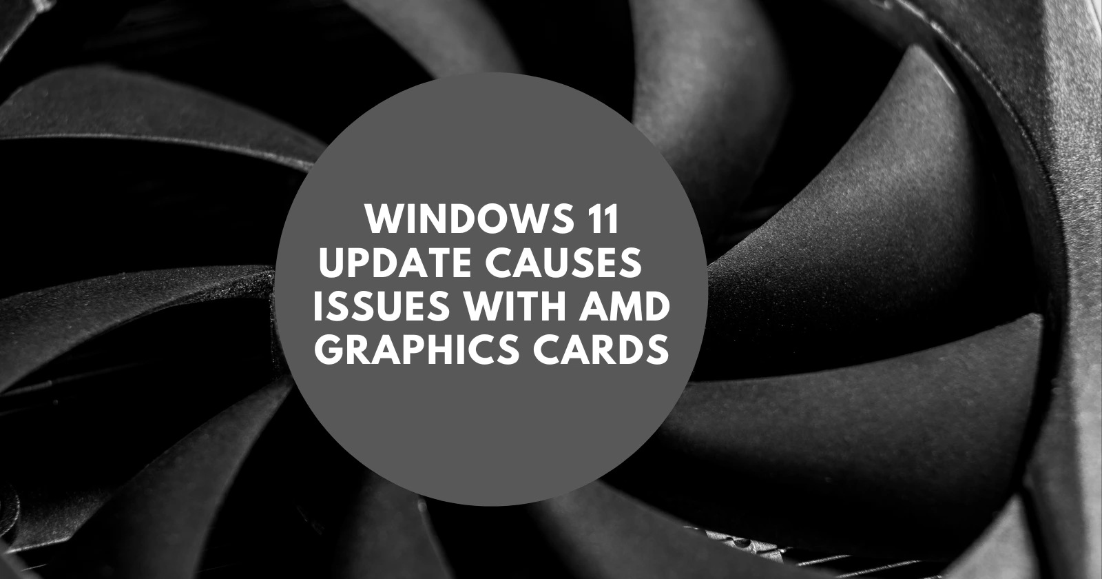 Microsofts Latest Windows 11 Mishap Causes Havoc With Amd Graphics Porn Sex Picture 8418